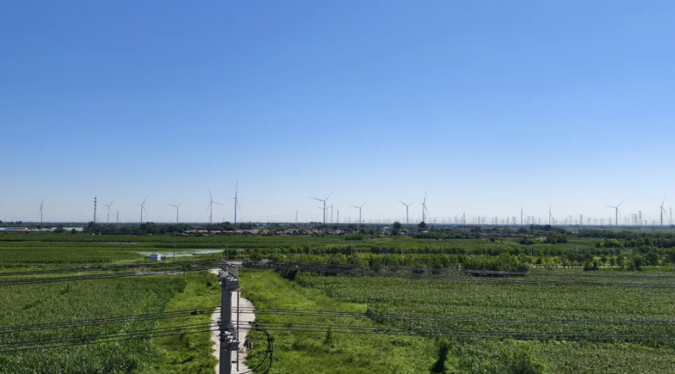 世界地球日｜守護(hù)資源，促進(jìn)人與自然和諧共生