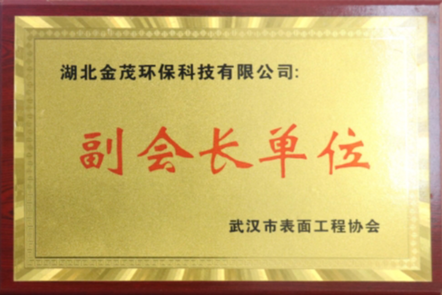 武漢市表面工程協(xié)會(huì)副會(huì)長單位