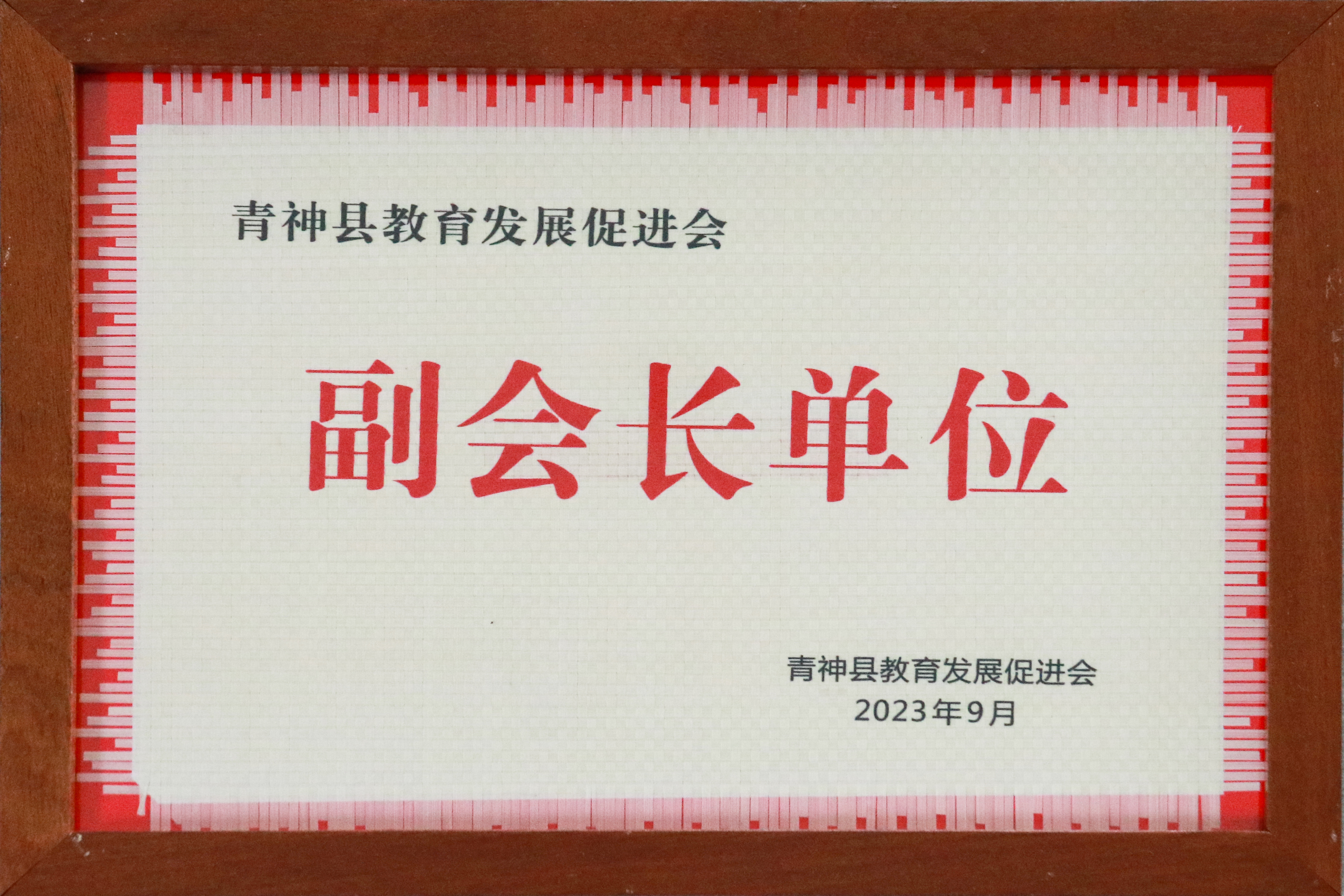 青神縣教育發(fā)展促進(jìn)會(huì)副會(huì)長單位